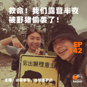 EP142-救命!我们露营半夜被野猪偷袭了!