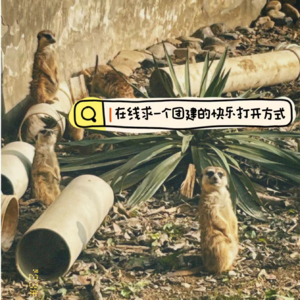 79 在线求一个团建的快乐打开方式