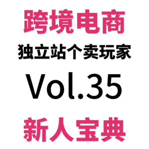 Vol35.跨境电商独立站，这三个品类新人个卖千万别来沾边儿（饰品篇）跨境电商品牌营销日记（2）