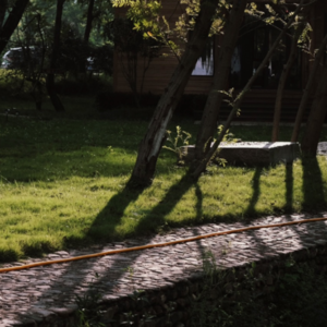 3.自由的灵魂流浪者-木子｜自我觉醒｜探寻自我道路上的迷茫与坚持