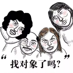 当代年轻人反催婚指南，互联网反催婚嘴替！