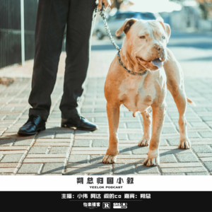 660.朔总归国小叙