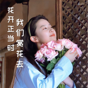 VOL.17 【时令】花都开好了,你在哪里呀?