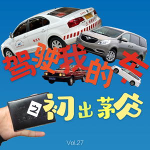 “驾驶我的车”之初出茅庐：驾校风云+新手囧事