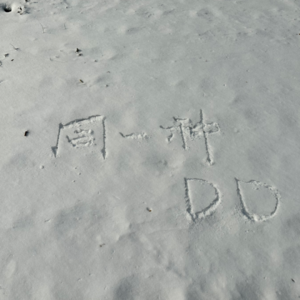 EP28 一周年：像你这样的朋友，一个就够了