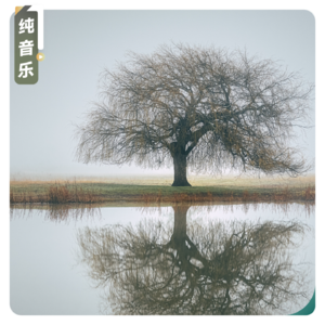【纯音乐】铅华洗尽，珠玑不御