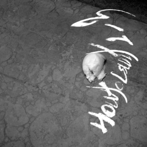 寥聊 SET 「LL」—— 如何从一数到三 How to count one to three