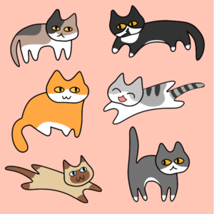 15. 猫:这碗鲑鱼茶泡饭忘放鲑鱼了喵~