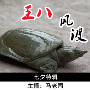 【直播回放】七夕特辑：王八风波 Vol.40