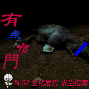 N.02 有点邪门《生化危机求生指南》