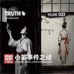 33 日本法医学鉴定史上前所未有的离奇悬案，小笛事件之谜