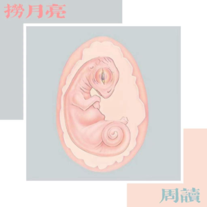 捞月亮周读 - 03 安德烈斯·巴尔瓦《光明共和国》