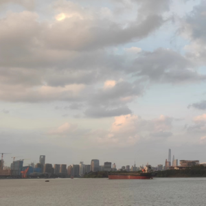 Vol.00001知识的诅咒Curse of Knowledge