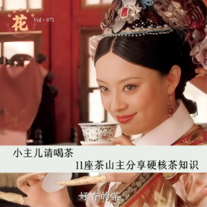 Vol：071小主儿请喝茶，11座茶山山主分享硬核茶知识。
