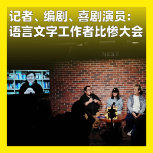 24. 记者、编剧、喜剧演员：语言文字工作者比惨大会