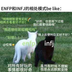 VOL 8. 淡人INFJ和浓人ENFP