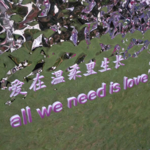 婚礼策划师：婚礼是一场浪漫的共创