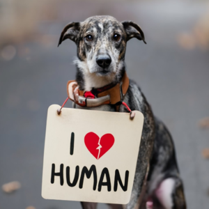 被恐惧控制的人生