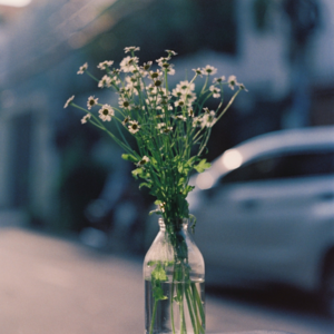 18. 内在投射：如果你相信世界是好的，这会成为现实