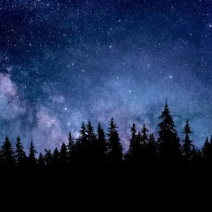 Vol.2 你回家了，我在等你呢。