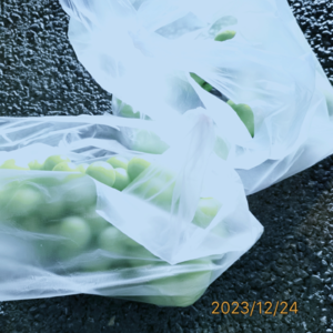 VOL32.我喜欢昆明的理由，只需要一部《李米的猜想》。