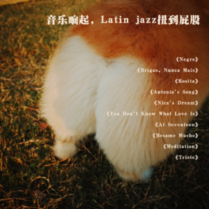 音乐响起，Latin jazz扭到屁股