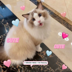 EP39《认知觉醒》觉醒是个啥玩意？科学理性方式选择幸福生活|人生是消除模糊|凭感觉学习与生活、找人生目标