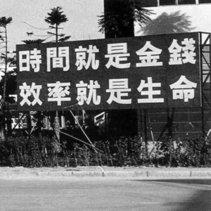 除了搞钱，深圳还有星空、梦想和野猪 | 美丽新世界 025