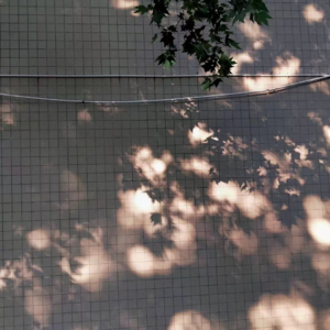 杨导 | 和好朋友见面能有多开心？