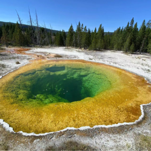 婧观时变03｜黄石主题：国家公园&美剧