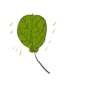 #5 用声音片段拼凑的诗意