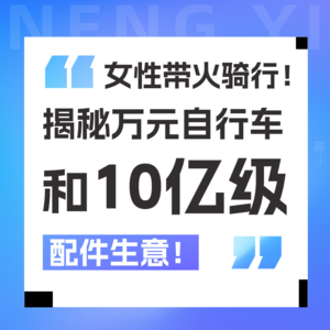 Vol 07.一辆自行车上万元！还有10亿的周边生意