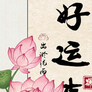 09:踏出舒适圈的每一步都在积攒好运,一个高能量黄金法则