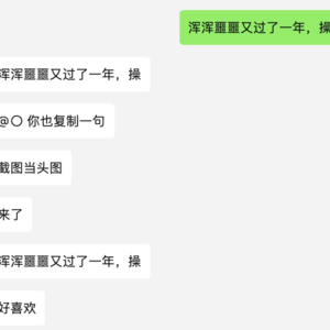 蛋黄5片｜浑浑噩噩又过了一年，操！