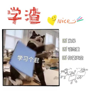 Vol.11 学渣劝解室:除了学习,我们什么都做!