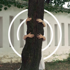 摄影记录了人生状态的节点|环行地