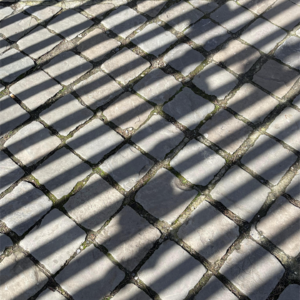 Vol.02｜鹿卡鹿咔X有龙则灵：越接纳，越松弛，越自由