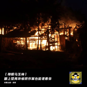 【国内神探马玉林】（8）史诗难度！靠脚印追踪，遇到往鞋上垫砖的罪犯怎么破？