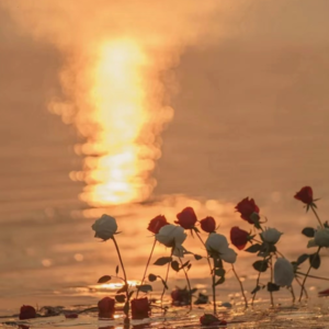 C-BACK第一期【恋爱】