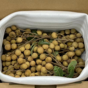 VOL75.期待成都的下雨天：天气炎热时，心烦意乱，什么都不想做。