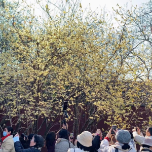 放一放,一起以过年为重.