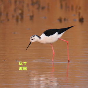 Vol. 59 已上瘾，且不打算戒