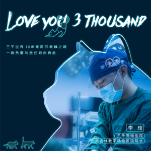 Vol.008 | 你付出一点爱，它们回馈你无穷多