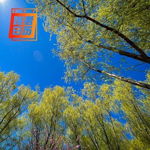 EP131: 跑友封控故事：充分利用每一次危机