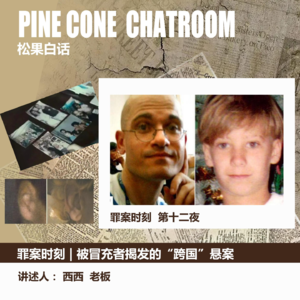 13.罪案时刻 |“亲爱的”冒充者