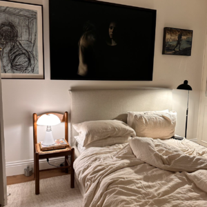 住房进化：我们装修了它，我们驯化了它