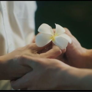 D26幕 / 《爱的香气》民国穿越之温柔少爷俏管家