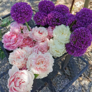 Vol.5 疫情这3年,这些闪光时刻值得珍藏