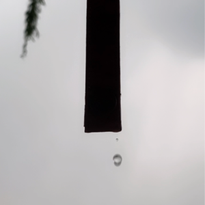 大雨哗哗下 北京来电话