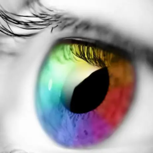 第224期：眼睛出问题用什么牌子的果冻比较好？